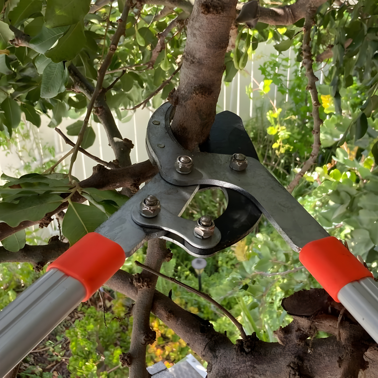 BetterGardens™ Extendable Tree Pruner