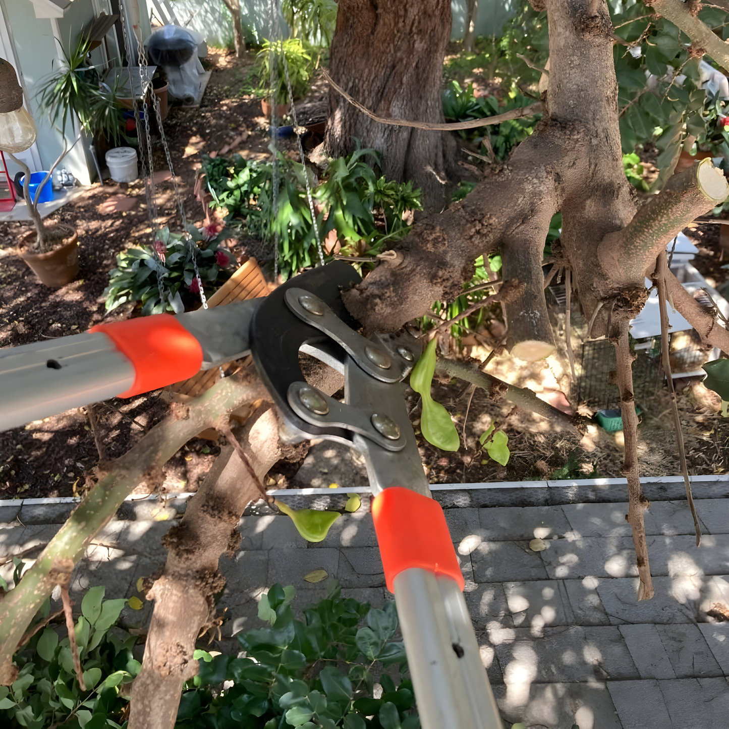 BetterGardens™ Extendable Tree Pruner