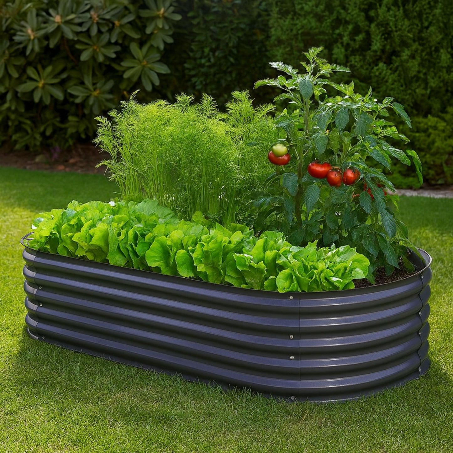 Better Gardens™ Galvanised Steel Raised Garden Bed