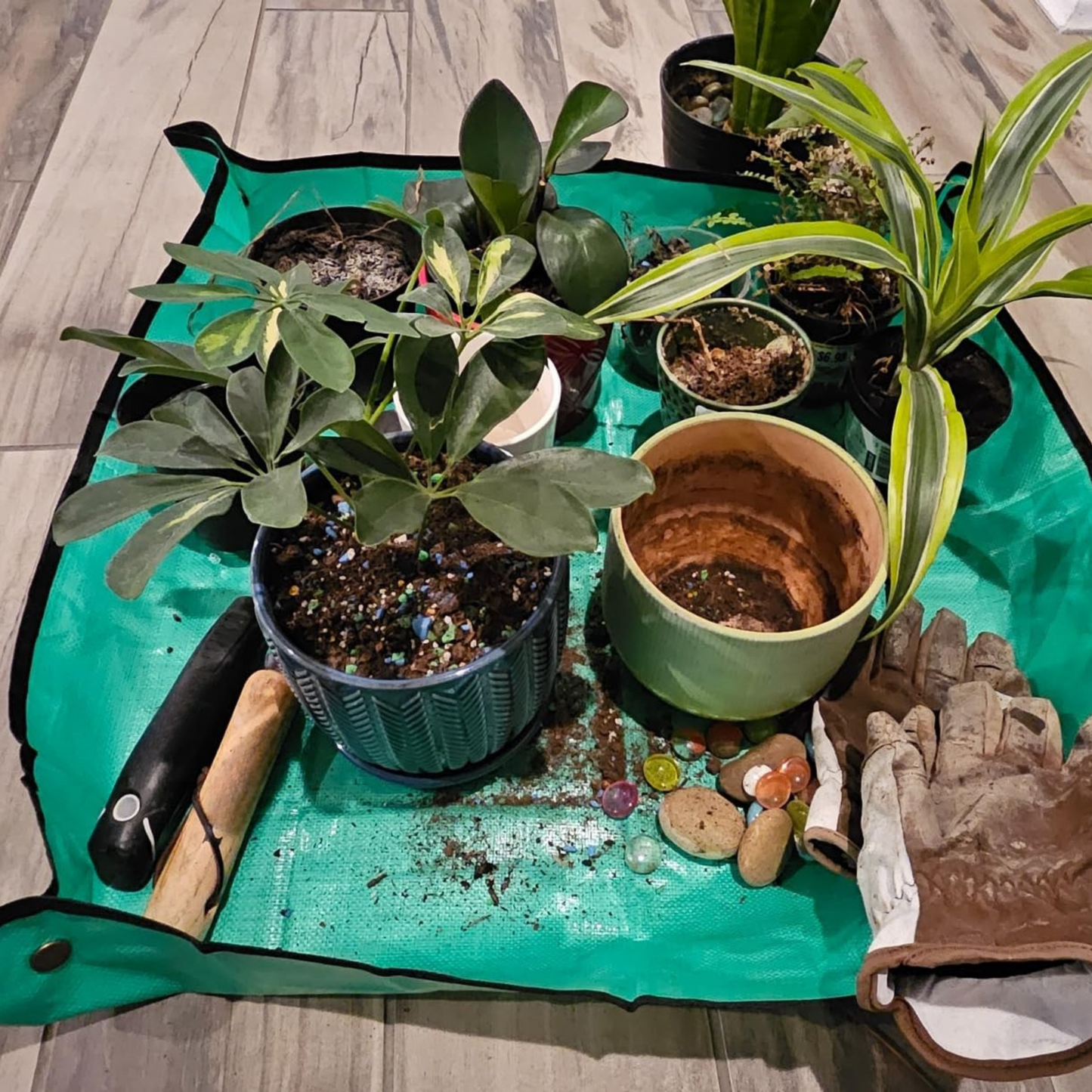 BetterGardens™ No-Mess Gardening Mat