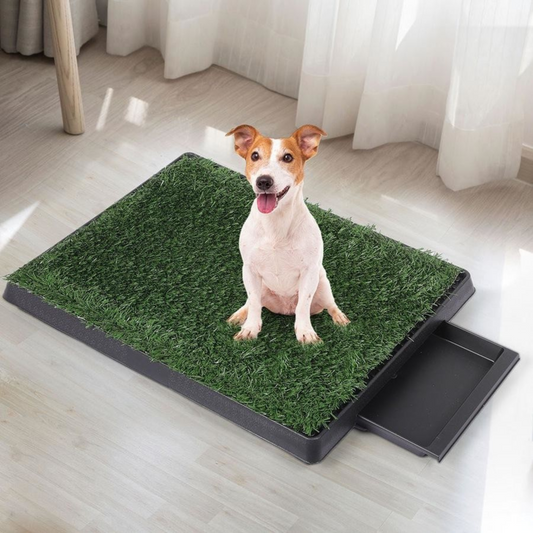 BetterGardens™ Grass Toilet Training Mat For Dogs