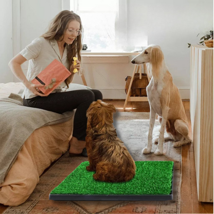 BetterGardens™ Grass Toilet Training Mat For Dogs