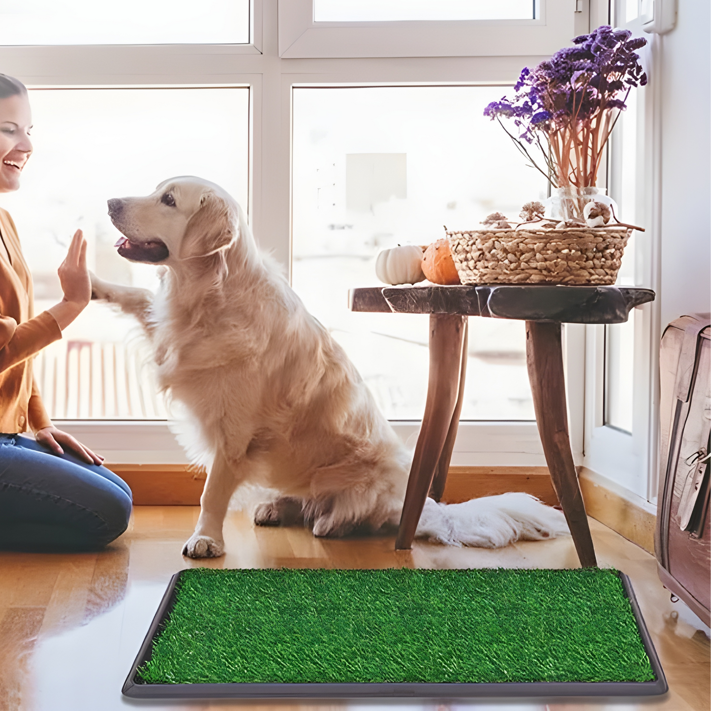 BetterGardens™ Grass Toilet Training Mat For Dogs